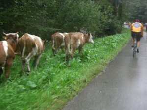 20. Wendelsteinrundfahrt 028